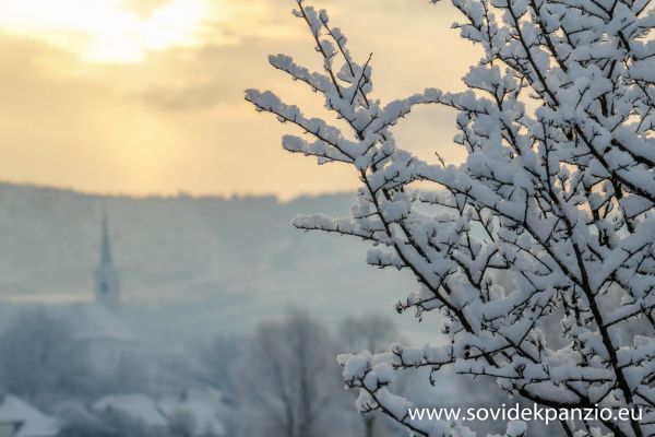 sovidek-panzio-2018-02-0105A305706-812E-D825-E01F-C923F679AD7B.jpg